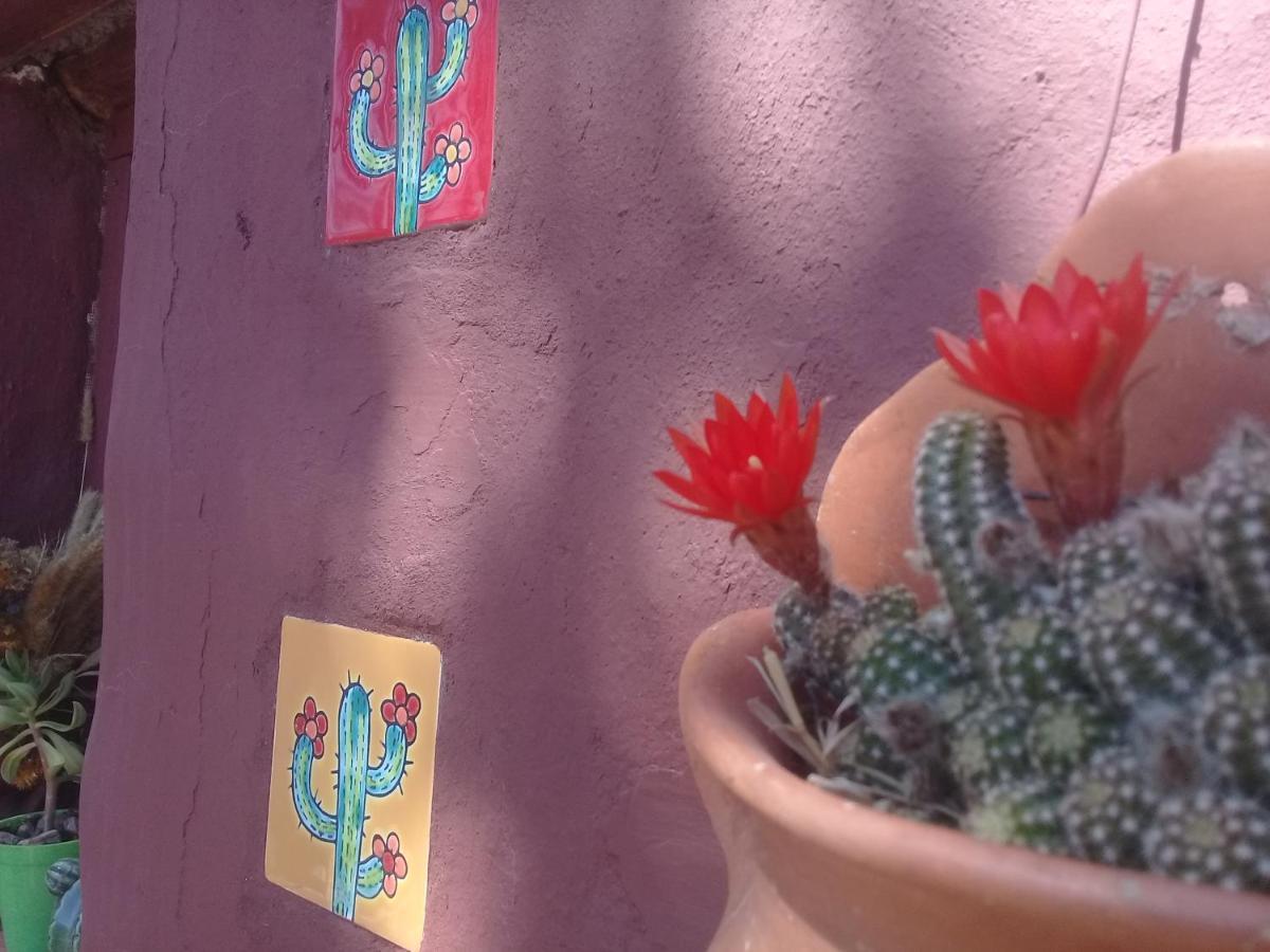 Cabana El Cardon,Casita En El Campo Quebradeno Humahuaca Eksteriør billede