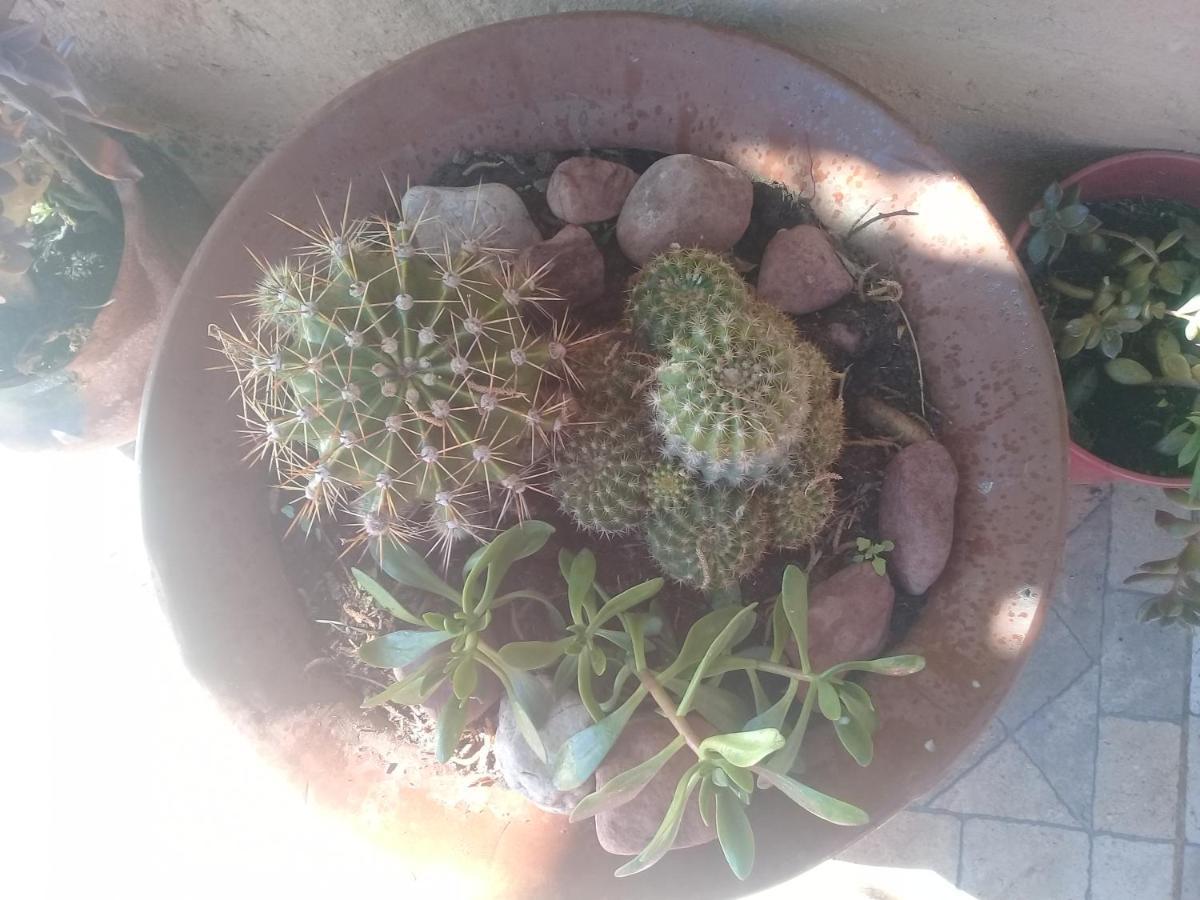 Cabana El Cardon,Casita En El Campo Quebradeno Humahuaca Eksteriør billede