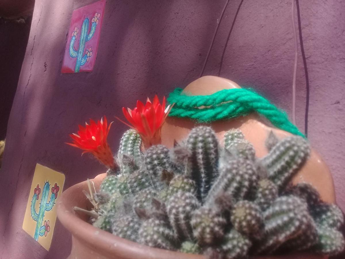 Cabana El Cardon,Casita En El Campo Quebradeno Humahuaca Eksteriør billede