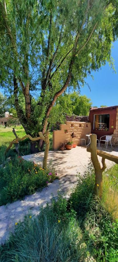 Cabana El Cardon,Casita En El Campo Quebradeno Humahuaca Eksteriør billede