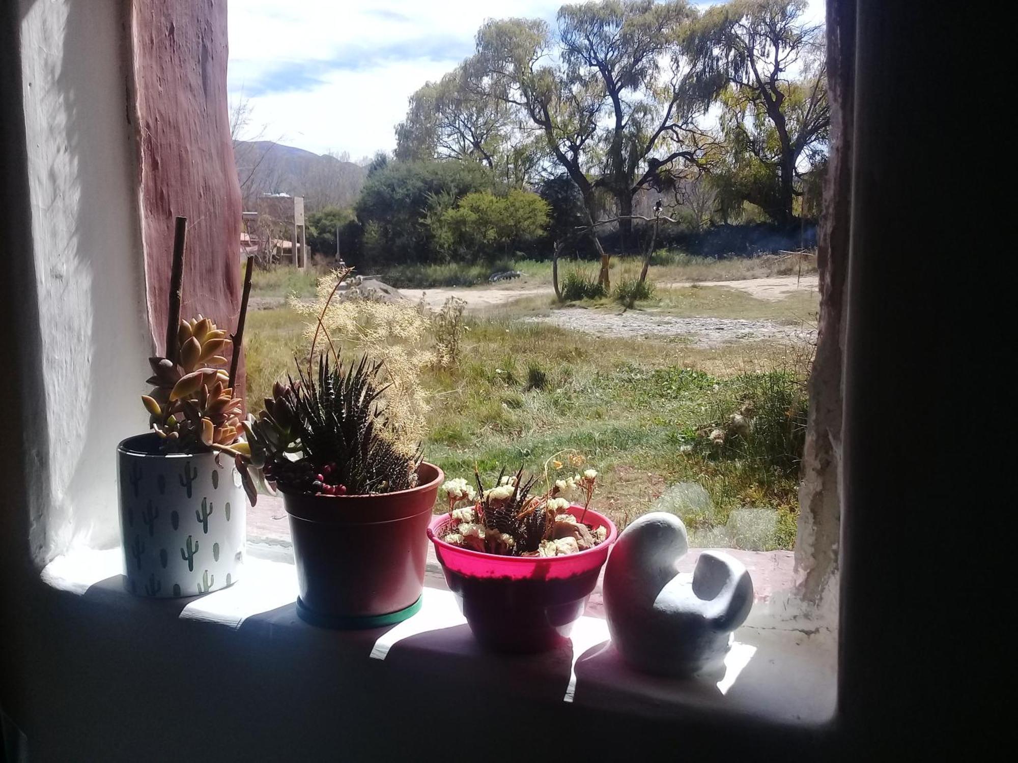Cabana El Cardon,Casita En El Campo Quebradeno Humahuaca Eksteriør billede