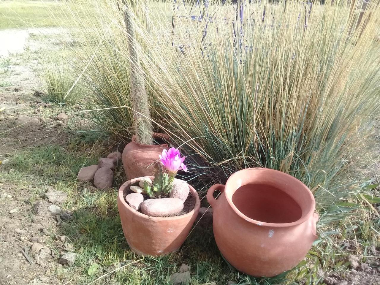 Cabana El Cardon,Casita En El Campo Quebradeno Humahuaca Eksteriør billede