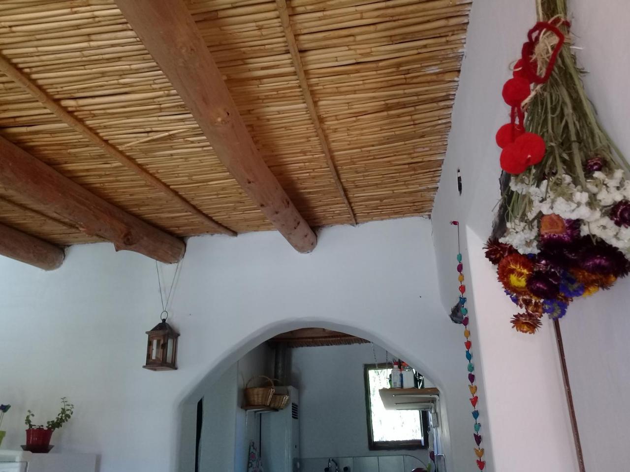 Cabana El Cardon,Casita En El Campo Quebradeno Humahuaca Eksteriør billede
