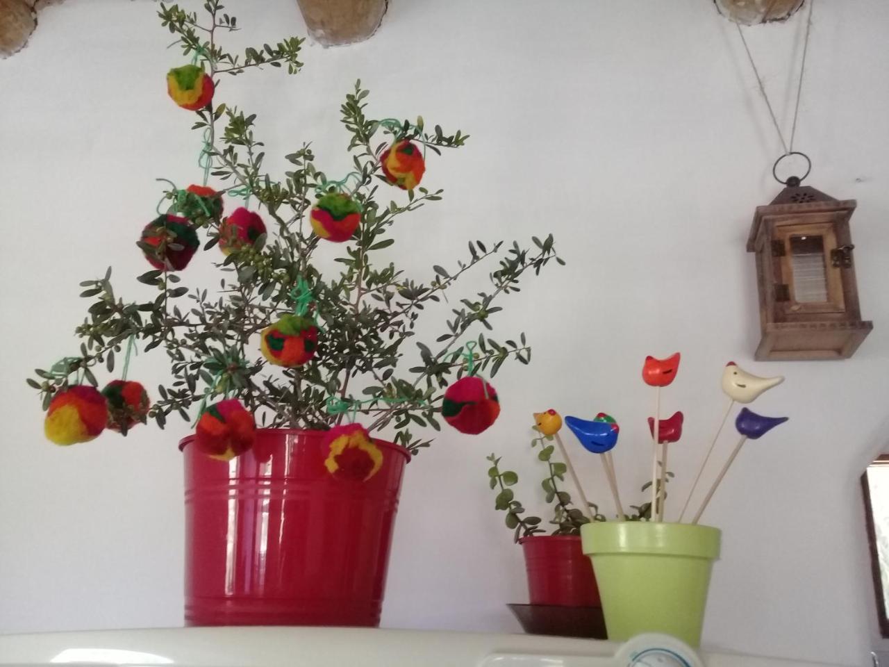 Cabana El Cardon,Casita En El Campo Quebradeno Humahuaca Eksteriør billede