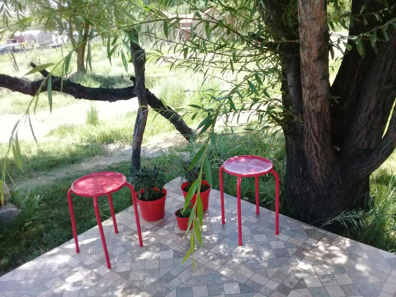 Cabana El Cardon,Casita En El Campo Quebradeno Humahuaca Eksteriør billede