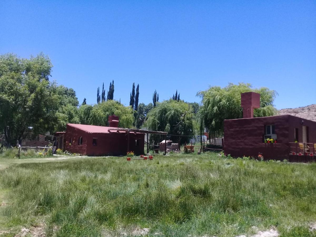 Cabana El Cardon,Casita En El Campo Quebradeno Humahuaca Eksteriør billede